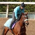 ２０２３年の北海道スプリントＣ覇者ケイアイドリーが競走馬登録抹消　門別競馬に移籍へ