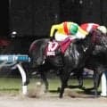 【川崎競馬】芙蓉賞を制したクラムスコイは戸塚記念へ「物見をしながらだったけど時計は優秀」笹川翼騎手