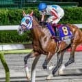 半兄はナチュラルライズ 3歳のアトラップモアが待ちに待ったデビュー戦だ
