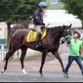 【クイーンＳ・データ埋蔵金】前走Ｇ１参戦の３歳＆４歳馬に注目　Ｇ１組は過去１０年間すべて１頭以上が馬券圏内