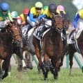 イトコは日本ダービー馬のマカヒキ 友道厩舎のジュンアマンドラに要注目だ