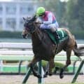 【アイビスSD枠順確定】ピューロマジックは3枠6番、アメリカンステージは8枠16番