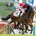 【クイーンS枠順確定】ボンドガールは7枠12番、エリカエクスプレスは6枠9番