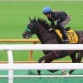 【クイーンＳ・金曜気配】武豊騎手騎乗のエリカエクスプレスは９番枠　陣営「追い切り後も落ち着いています」