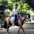 【名鉄杯・金曜気配】クールミラボーは障害練習効果でハミ受けが改善　寺島調教師「いい感じで走れるようになってきた」