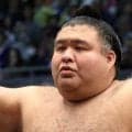 夏巡業休場の高安は「腰痛椎間板症、椎間関節炎、腰痛の急性憎悪」日本相撲協会が発表【大相撲】