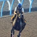 【アイビスＳＤ・金曜気配】舞台一変のミカッテヨンデイイは角馬場で調整　室井師は初の重賞挑戦「思い切って距離を...」