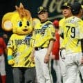 【阪神】平田２軍監督が67歳誕生日も完敗「月が変わってツキが変わるなんて、悠長なことは…」