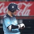 【西武】９回２死で打席の平沢大河に「招かれざる客」が　過去にはロッテ角中が「除去」する場面も