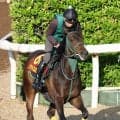 【１日の注目・新潟８Ｒ】オークス４着のリアライズルミナス　秋華賞目指して自己条件の１勝クラスに登場