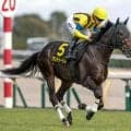 【今日の注目ポイント】豊橋Sで素質馬アンドゥーリルがOP入りを狙う