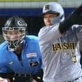 「4番の仕事！！！」「夏は大山」阪神の頼れる兄貴分が起死回生の逆転打、勝利に導く一打に虎党大興奮「サイコーや」