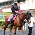 【クイーンＳ・土曜気配】ミュージアムマイルの半妹フェスティバルヒル　唯一の３歳馬が古馬撃破へ　陣営「５２キロは大きい」