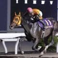 【高知競馬・黒潮菊花賞】カツテナイ３冠馬誕生に期待！　大恵陽子コラム