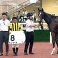【中京２Ｒ・２歳新馬】重賞３勝モズメイメイの全妹ラムラベイが快勝発進！　松若風馬騎手「調教通りでしたね」