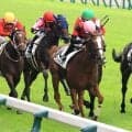 【新潟１Ｒ・２歳未勝利】エストレアボニータがヒヤヒヤの展開も根性を発揮　石神深道騎手「なかなか進路が…」