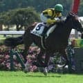 【中京2R新馬戦結果】リアルインパクト産駒ラムラベイが押し切り新馬勝ち