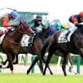 【新潟２Ｒ・２歳新馬】２億円の良血牡馬　ホウオウモノポリーが圧倒的１番人気に応えて初陣Ｖ　戸崎圭太騎手も絶賛「申し分ない」