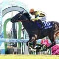 「絶対にダメだと…」「マジで強い」狭い進路を割って初勝利つかんだジャンタルマンタルの半妹にネット仰天