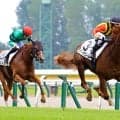 【新潟３Ｒ・２歳新馬】「１００点満点です」津村明秀騎手のボーデコールが１番人気に応えて３馬身差の完勝