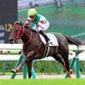 【札幌５Ｒ・２歳新馬】シスキン産駒でワンツー！　ブルージェイが２馬身半差で逃げ切り　鮫島克駿騎手「素晴らしい馬」