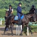 土曜新潟競馬の注目激走馬…新潟７Ｒ柳都ステークス