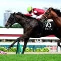 【札幌１１Ｒ・ＳＴＶ賞】藤田晋オーナーが見守るなかヨヒーンが差し切ってＶ　全４勝へ導いた鮫島克駿騎手「強い気持ちでファイトしてくれた」