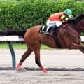 【柳都Ｓ】まるで前走のリプレー！？　２番人気のレイバックスピンが連勝　牧浦調教師「将来的には交流重賞路線に…」