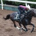 【中京７Ｒ・豊橋Ｓ】まさかの掲示板外に沈んだ１番人気アンドゥーリル　３連単は１６万円超の大荒れに