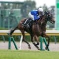 【JRA・WIN5】本日のWIN5は的中145票、配当206万5210円