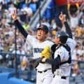 夏の甲子園　優勝候補筆頭の横浜は沖縄尚学と対戦　２年連続で前年春夏王者が初戦で激突　織田ＶＳ末吉の屈指エース対決に