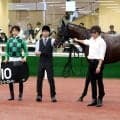 【中京８Ｒ・日進特別】「力が違いました」坂井瑠星騎手が絶賛　単勝１・２倍のビービークローサーが衝撃の直線一気