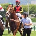【注目馬動向】グランアレグリアの初子グランマエストロは８月３０日の新潟・３歳未勝利で悲願の初勝利へ