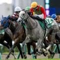 【クイーンS予想】西高東低の傾向が続く牝馬限定重賞！ 関東馬は前走初角の位置取りが重要