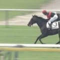 「モノが違った」“2.2億”の注目ホース、デビュー戦でノーステッキ勝ち…ファン期待高まる「将来性凄そう」「血統もロマン」