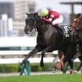 【STV賞】ヨヒーンが外から力強く抜け出しオープン入り…武豊アルマデオロは2着
