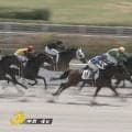 「すごい走り方」馬群を“切り裂き”待望勝利…電撃引退“最強マイル王”の妹にファン熱狂「強い勝ち方」「ついに…」