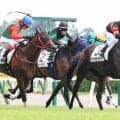 【新潟２Ｒ・２歳新馬】２億円馬ホウオウモノポリー、デビュー戦快勝に友道康夫調教師「来年の大きいところに行けるように」