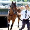 【２日の注目・中京６Ｒ】前走６馬身差圧勝のトミーバローズ　１勝クラスでＧ１級の勝ち時計をマーク