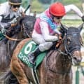 “千直”の重賞アイビスSD 外枠＆牝馬が優勢だ