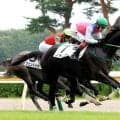 【新潟１Ｒ】ノドゥスが初戦１２着から一変の初Ｖ　三浦皇成騎手「エンジンがかかったところがゴールでした」