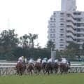【中京3R新馬戦結果】シルバーステート産駒の9番人気スーサンコルティナが差し切り勝ち