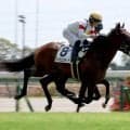 【中京３Ｒ・２歳新馬】９番人気の伏兵スーサンコルティナが差し切る　田口貫太騎手「追ったら追った分だけ伸びてくれました」