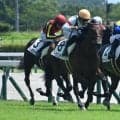 【中京3R新馬戦結果】シルバーステート産駒の9番人気スーサンコルティナが差し切り勝ち