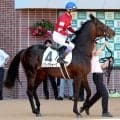 【札幌５Ｒ・２歳新馬】藤田晋オーナーの２・５億円馬スワッグウォークは直線伸びず４着　武豊騎手「まだ仕上がり途上」