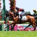 【札幌５Ｒ・２歳新馬】池添謙一騎手がブラストワンピースの姪ホウオウプレマで差し切り　「ゆかりの血統で...」