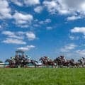 【クイーンS結果】ココナッツブラウンが待望の重賞初V 北村友一騎手はJRA全10場重賞制覇を達成