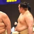 安青錦、夏巡業参加も土俵上がらず交流「皆さんと触れ合いたい」下呂温泉で若返りも