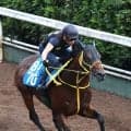 【アイビスＳＤ】３連単４６万円超を演出！１４番人気ロードトレイルが２着激走　１番人気勝利も波乱の使者に　