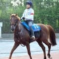 【アイビスＳＤ】最内枠＆９歳馬のウイングレイテストは３年連続挑戦も７着　負のデータ覆せず　松岡正海騎手「もうひと踏ん張りが…」